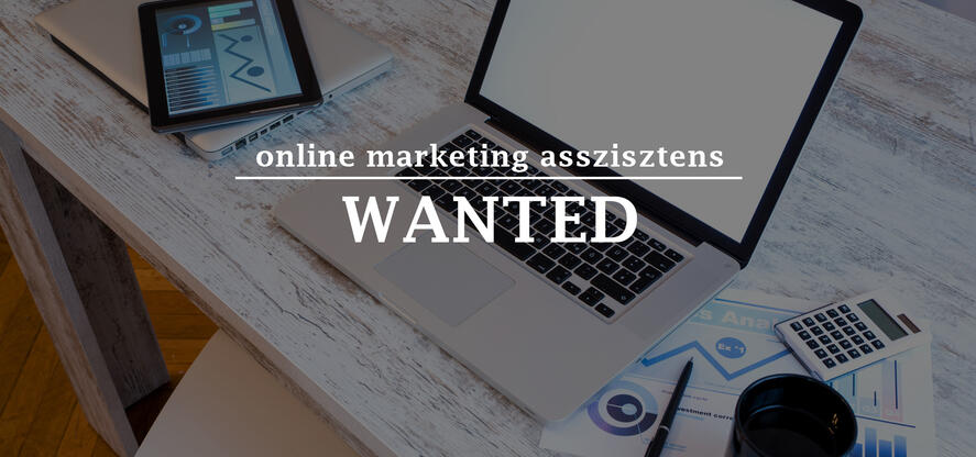 Online marketing asszisztens állás