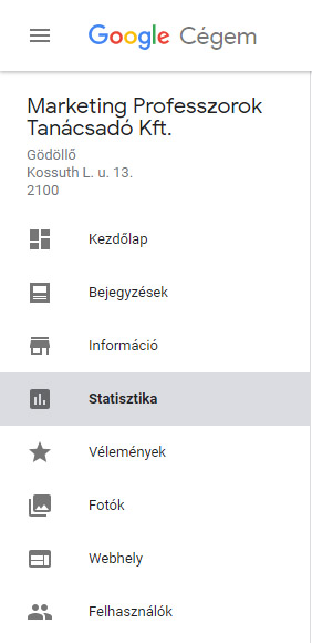 Google cégem statisztika