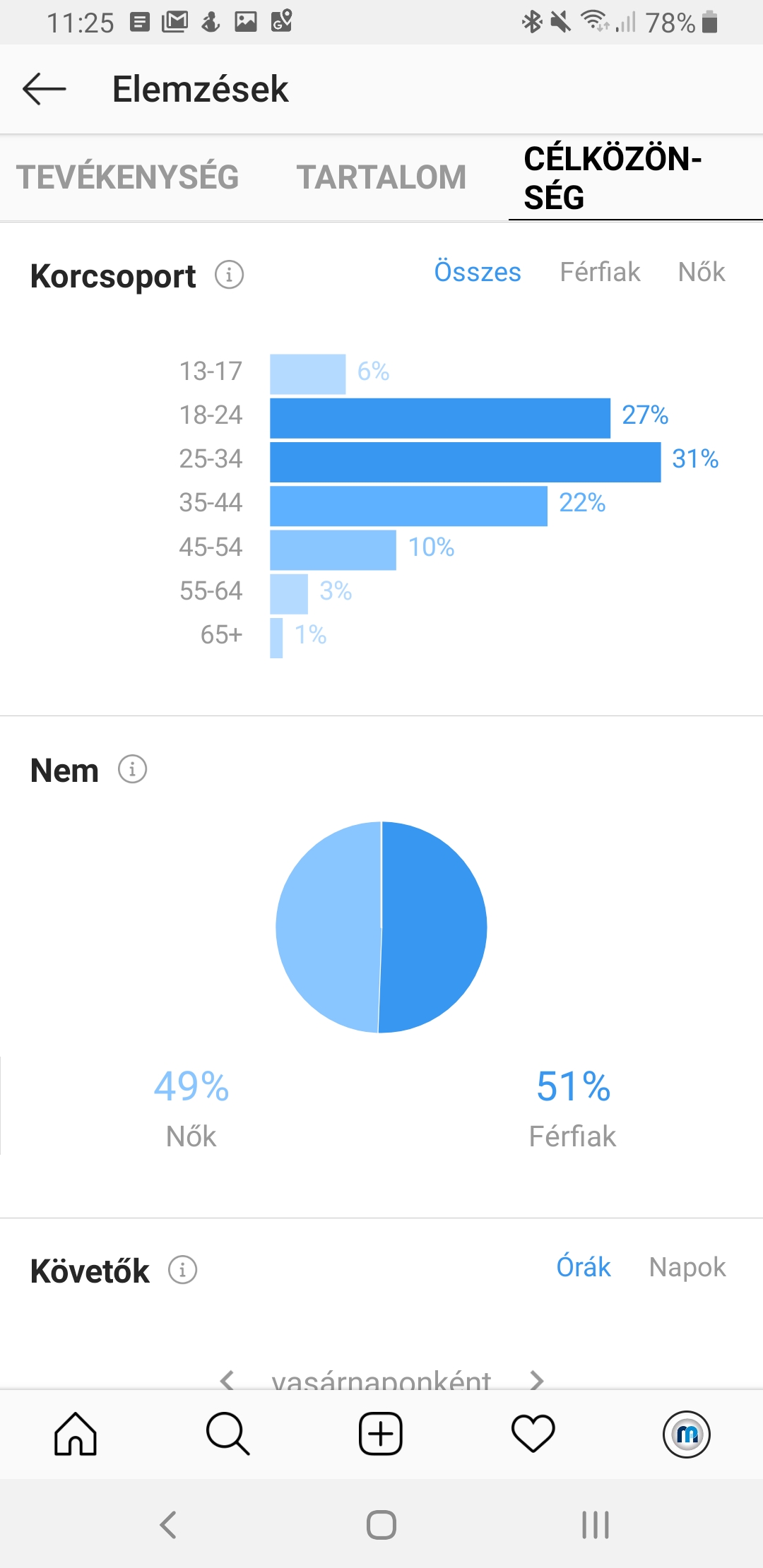 Instagram követők demográfia