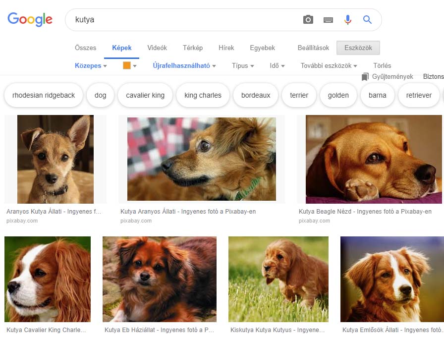 Hogyan keressek képeket a Google-ben? 